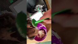Panecillos Keto en #Cookidoo #Thermomix #Tecnococinillas