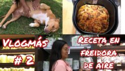 #vlogmas 2  / Receta deliciosa en freidora de aire