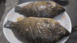 🇵🇭 “Quick & Easy Air Fryer Tilapia Recipe: Perfect Every Time!” 🐠