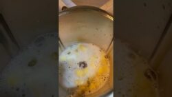 peeler thermomix kupas bawang putih