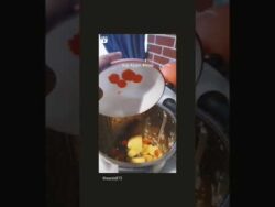 thermomix sup ayam