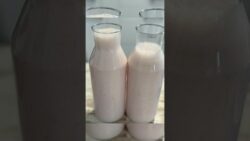 Actimel de fresa 🍓 con Thermomix 6!!