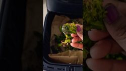 Easy Air Fryer Broccoli | Broccoli in air fryer | Broccoli Stir Fry #shorts