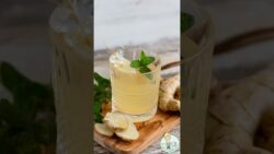 Ginger Beer mit dem Thermomix