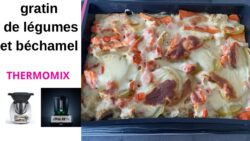 Gratin de légumes à la béchamel et blabla tm6 et tm7 Thermomix