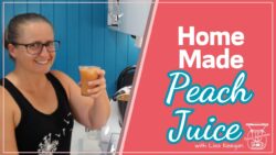 Making your own Peach Juice in the Thermomix