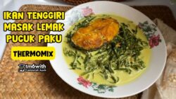 TM6: IKAN TENGGIRI MASAK LEMAK PUCUK PAKU THERMOMIX