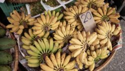 Alimentos ricos en potasio: esenciales para la salud y el bienestar