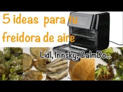 5 ideas de RECETAS PARA FREIDORA DE AIRE 9 en 1 de Lidl, Innsky, Calmdo, etc