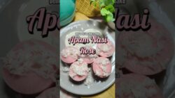 THERMOMIX: APAM NASI ROSE TM6