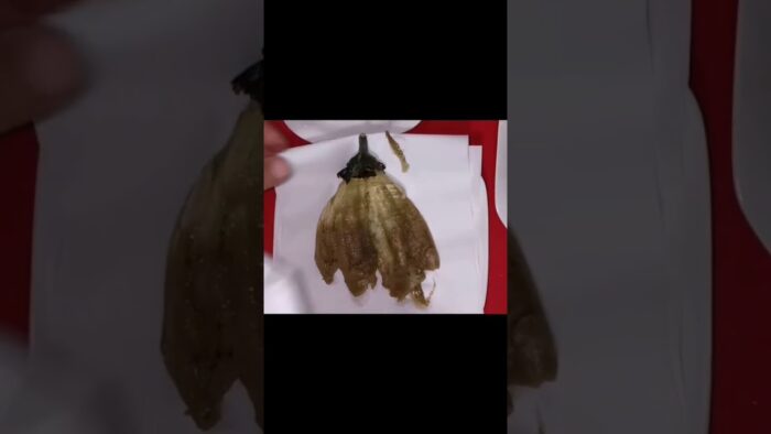 Berenjena a la Milanesa, Freidora de Aire