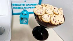 Biscuits aux canneberges et au amandes au thermomix #thermomix
