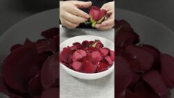 Codornices en pétalos de rosa | Thermomix® MX | Como agua para chocolate