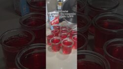 Gelatina con thermomix #gelatina