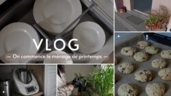 Nueva Thermomix ⎟Limpieza de primavera refrescante y galletas de avena con mantequilla de cacahuete