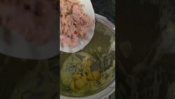 aujourd’hui avec mon Thermomix !Œufs mi-durs Mayonnaise Tartinade de thon avec les jaunes  ...