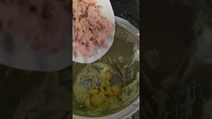 aujourd’hui avec mon Thermomix !Œufs mi-durs Mayonnaise Tartinade de thon avec les jaunes d’œufs