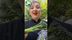 🥦 BIMI® = BRÓCOLI + COL 🥦 ¿Conoces esta hortaliza?
