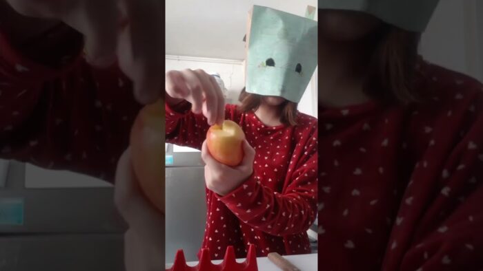 Cocinando sin saber cocinar (me quedo crudo y casi exploto la freidora de aire)🤑