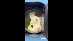 Crispy air fried eggs – better than pan fried!
