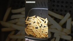 First time using Air fryer / Air fryer fries #shorts #youtubeshorts #foryou #food #fries #trending