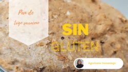 Hogaza de Pan sin gluten, 100% trigo sarraceno hecho en Thermomix y trucos para que salga perfecto