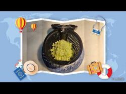 Salsa Tzatziki griega con Thermomix