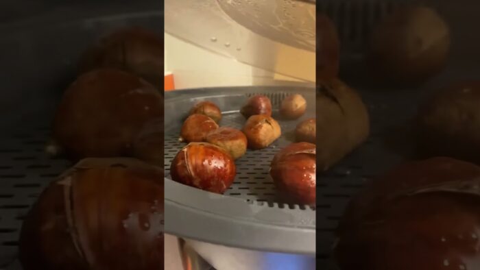There’s Something About These Chestnuts, I Had to See For Myself Amalia #thermomix #cooking #tm7