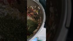 #thermomix istediğiniz her yemeği yapar🤩 #yemek #tarif #reels #viralreels #shorts