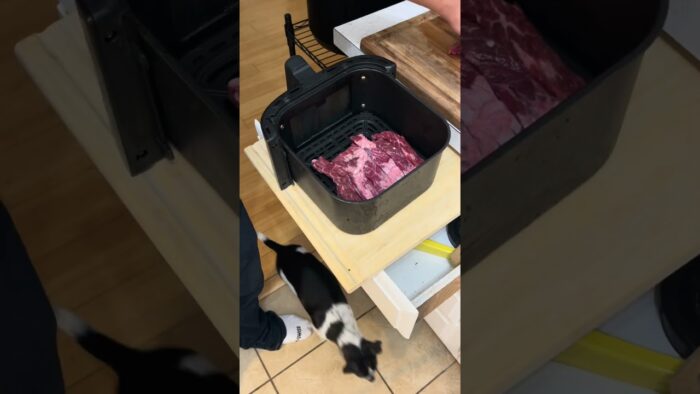 Air Fryer Skirt Steak in Minutes | Simple & Salt-Only Perfection