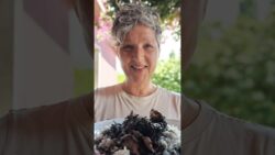 💥 CHOQUITOS O CALAMARES EN SU TINTA CON THERMOMIX® TM7 💥 #TM7