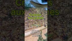 Crackers aux graines #thermomixmaroc #recettefacile #maroc #recette #thermomix