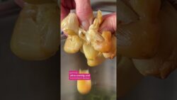 🧄 Geröstete Knoblauchsoße – würzig, cremig & perfekt zum Grillen | Thermomix® Rezept
