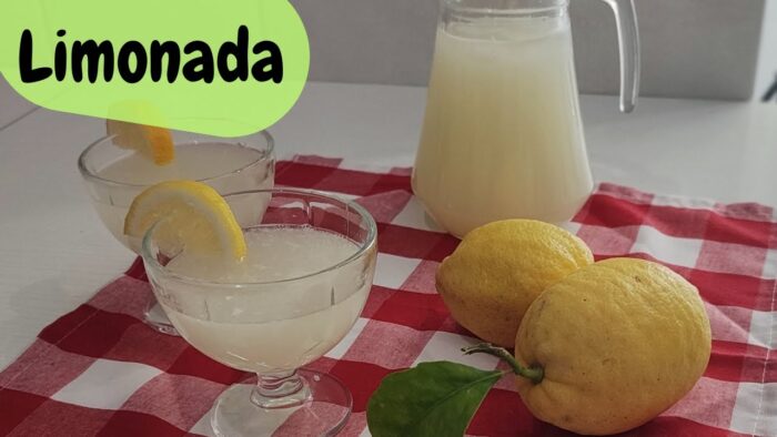 LIMONADA en Thermomix en SOLO 4 SEGUNDOS. Refrescante, Natural y con 3 Ingredientes 🍋