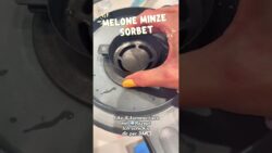 Melone Minze Sorbet mit dem SaftPRO