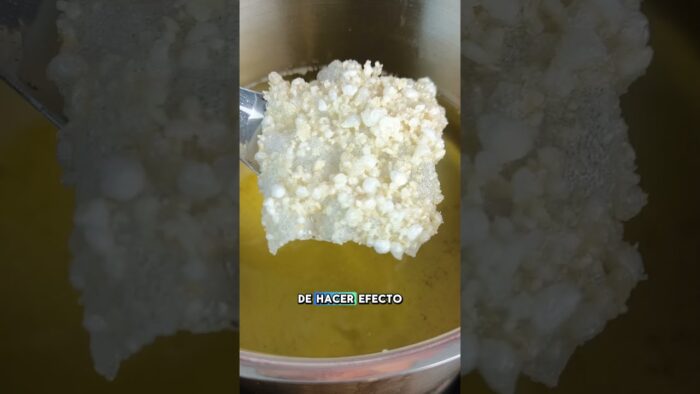 Papel de arroz + cerdo = magia en la freidora 🔥