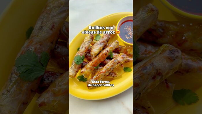 Receta FÁCIL y RÁPIDA de rollitos con papel de arroz 👌🏼 #recetas #recetasfaciles #airfryer