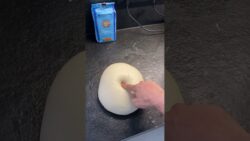 #pizzadough #pizza #thermomix  #pizzaathome It is possible to make proper pizza dough using a TM5