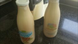 Horchata de chufa casera en Thermomix