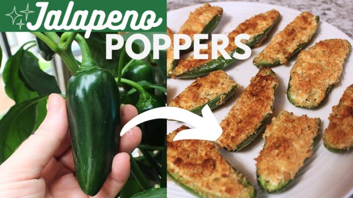Jalapeños poppers saludables en la freidora de aire | Receta de la cosecha a la mesa