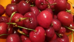 Mermelada de cereza en Thermomix