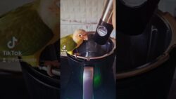 Orez fiert perfect, la aburi – cu Thermomix