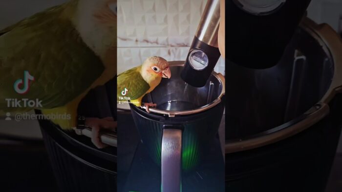 Orez fiert perfect, la aburi – cu Thermomix