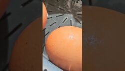 Pasteurizar Huevos con Thermomix