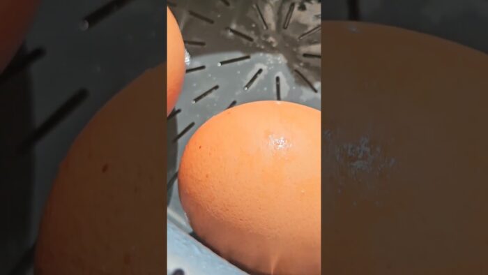 Pasteurizar Huevos con Thermomix