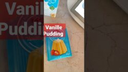 Vanille Pudding aus dem Thermomix #thermomix  #shorts