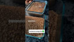 Estofado de lentejas en thermomix, que padre cocinar con los hijos #thermomixusa #loslocoschavez