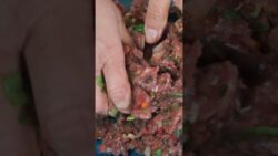 Irresistible Air Fryer Meatballs with Melty Cheese Inside