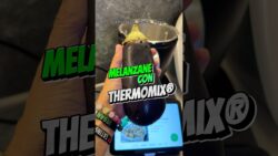 Thermomix®: prepariamo le melanzane