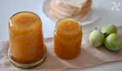 Mermelada de ciruela y melón cantalupo